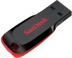 Sandisk SDCZ50-032G-B35 32GB Cruzer Blade 2.0 USB Flash Bellek