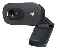 Logitech 960-001364 C505 HD Webcam - Siyah