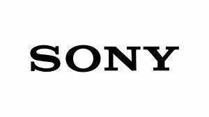 Sony Sd-Mıcro Sd Kılıfı