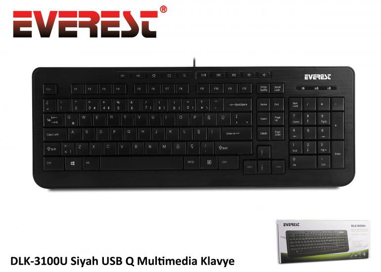 Everest DLK-3100U Siyah Q Usb Multimedya Kablolu Klavye 105 Tuşlu