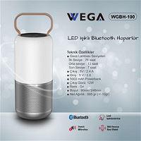 Wega Wireless Speaker Bottle Design - WGBH-100